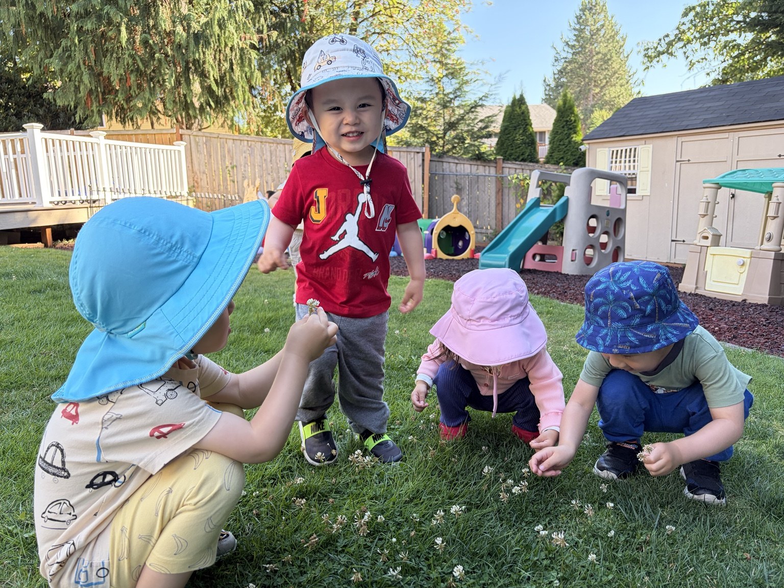 Children exploring clover together in the daycare yard
